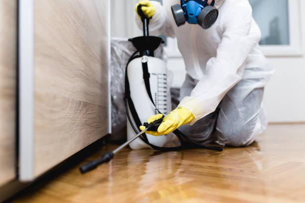 Best Pest Removal Services  in University City, MO