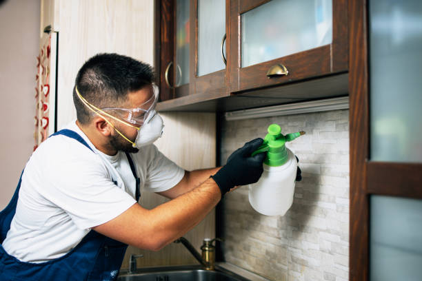 Best Best Pest Control Near Me  in University City, MO