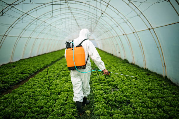 Reliable University City, MO Pest Control Solutions