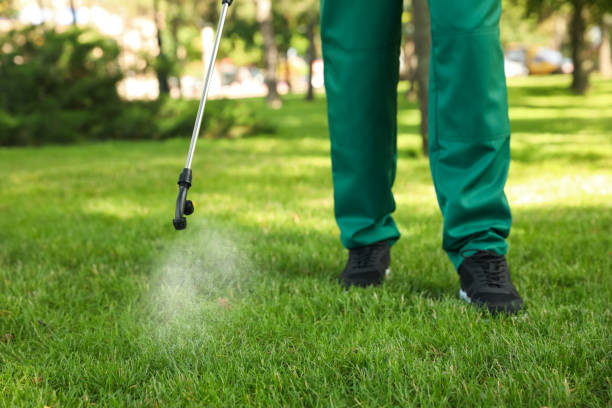 Best Commercial Pest Control Services  in University City, MO