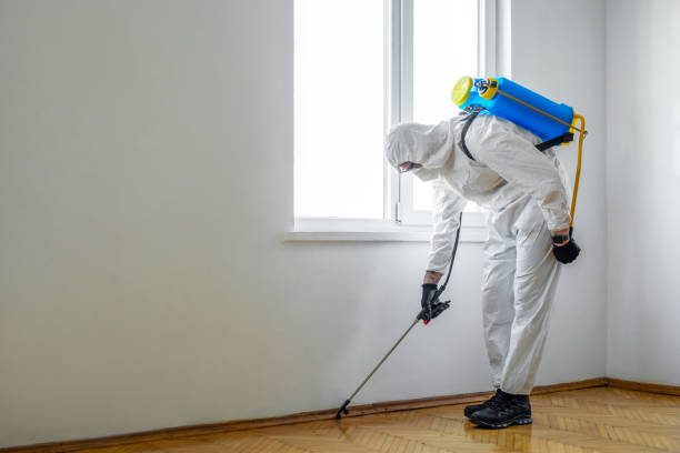 Best Commercial Pest Control Services  in University City, MO