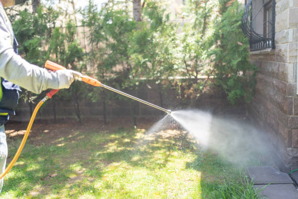 Best Wildlife Control Services  in University City, MO