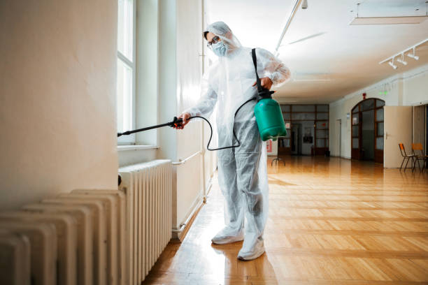 Best Rat Extermination Near Me  in University City, MO